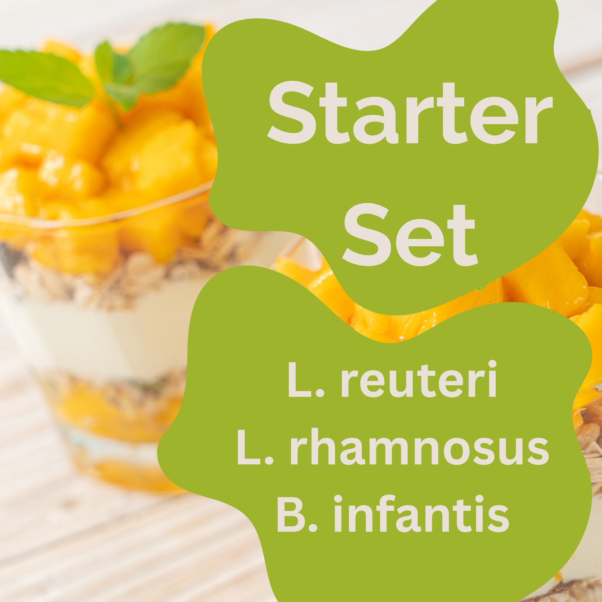 L. reuteri, L. rhamnosus, B. infantis 요거트 스타터 세트