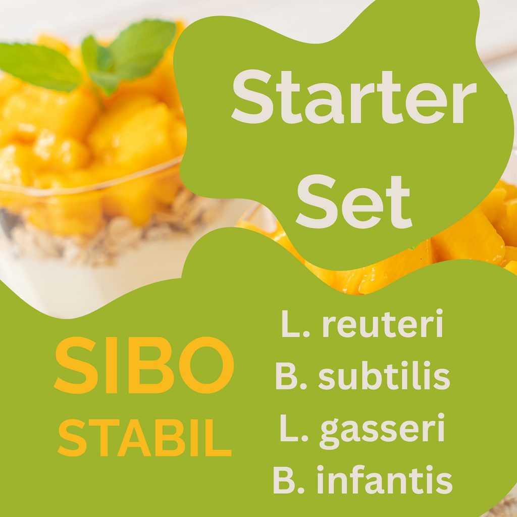 스타터 세트 „SIBO Stabil" | L. reuteri, B. subtilis, L. gasseri, B. infantis-요거트