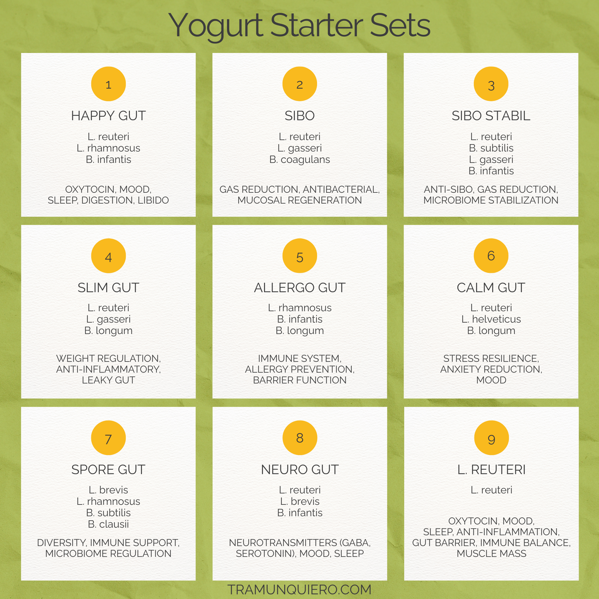 Starter Set "Neuro Gut" | L. reuteri, L. brevis, B. infantis Yogurt